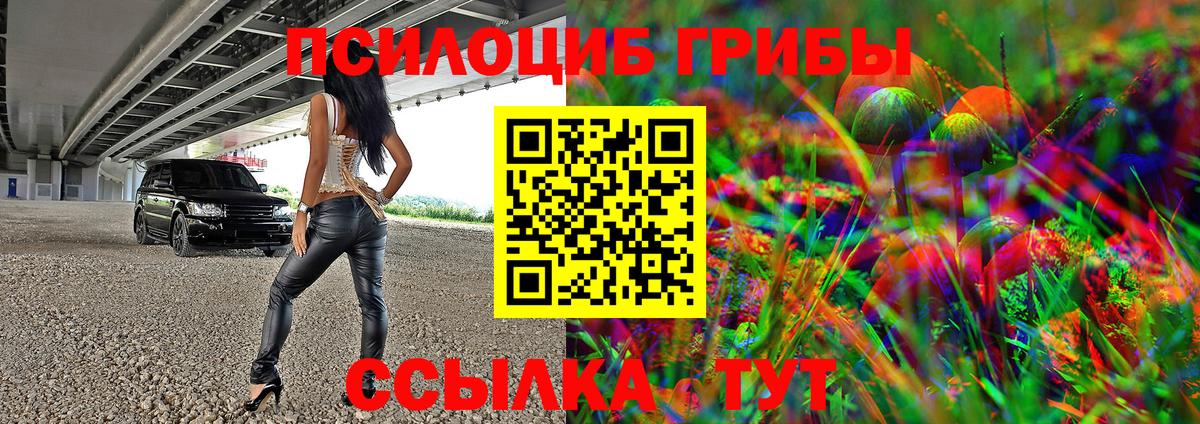 Галлюциногенные грибы Psilocybine cubensis Нижнекамск